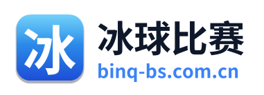冰球比赛